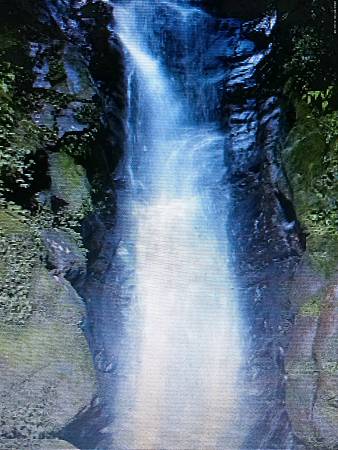 raw-image