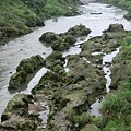 raw-image