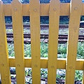 raw-image