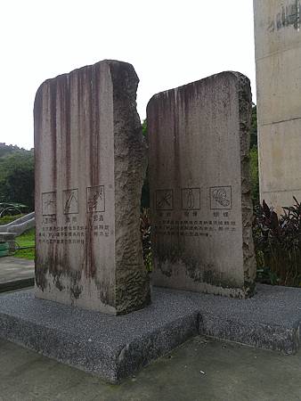 raw-image
