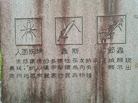 raw-image