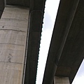 raw-image