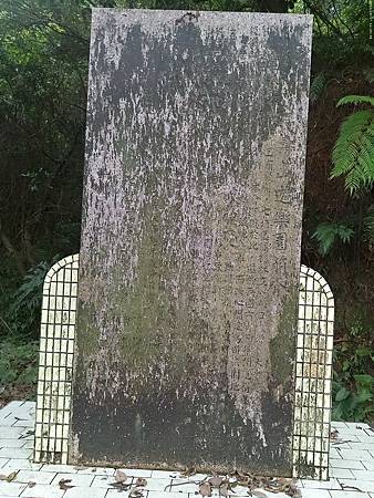 raw-image