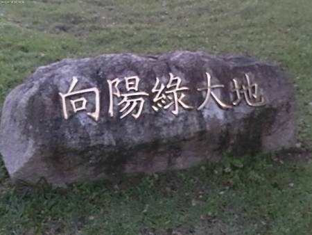 raw-image