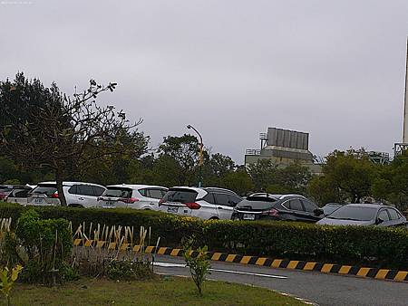 raw-image