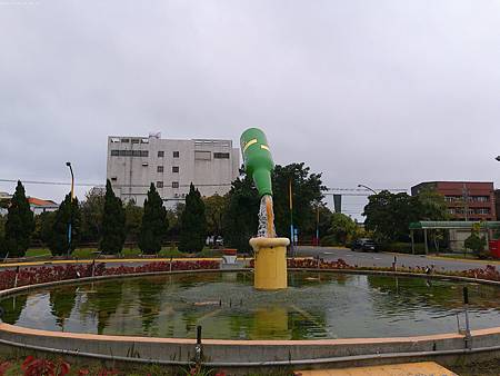 raw-image