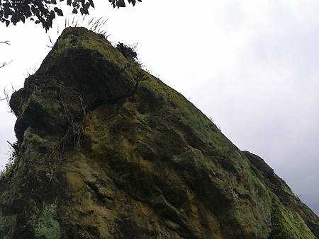 raw-image