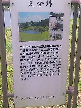 raw-image