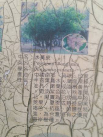 raw-image