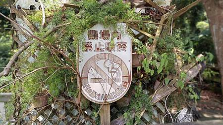 raw-image