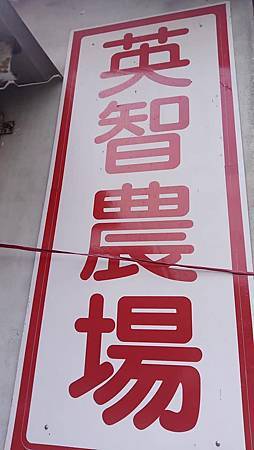 raw-image