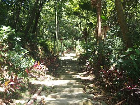 [新北旅遊]應化生態園區、崎頂步道，一個古道中有花園、來往大