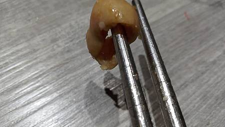 364775371_6851393438218250_8396863418457265223_n.jpg 364775371_6851393438218250_8396863418457265223_n.jpg