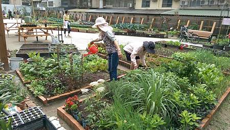 本農園種植的作物種類豐富，還有特別設置爬藤植物區，時常有昆蟲、及鳥類在農園駐足休憩。.jpg