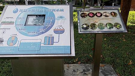 [台北旅遊]明亮美麗環境的明美公園 ，適合曬小孩與毛小孩溜狗