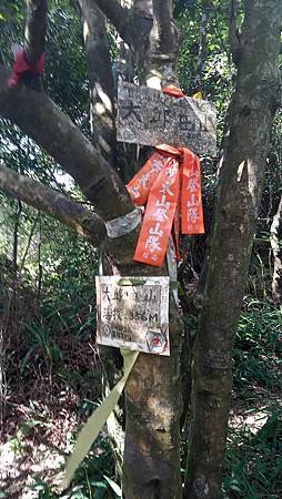 [台北旅遊]內湖區六座連峰O型連走，在看大型天然壁石之天然奇