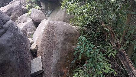 [台北旅遊]內湖區六座連峰O型連走，在看大型天然壁石之天然奇