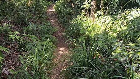 [台北旅遊]內湖區六座連峰O型連走，在看大型天然壁石之天然奇