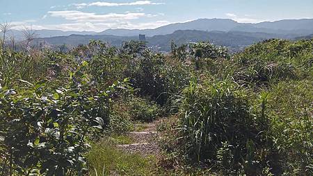 [基隆旅遊]曾子寮山、摩天嶺山、飛鳳山 、九華山、大德山、白