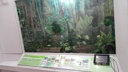 [台北旅遊]國立台灣大學昆蟲標本館一個八十七年歷史場館，超級