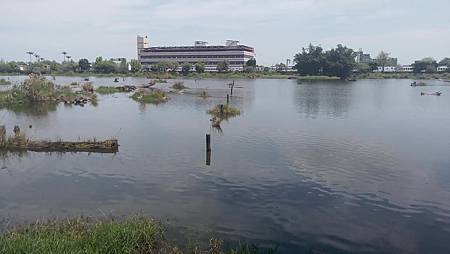 [宜蘭旅遊]百年歷史羅東林業園區，日治時期林業廠區保留至今、