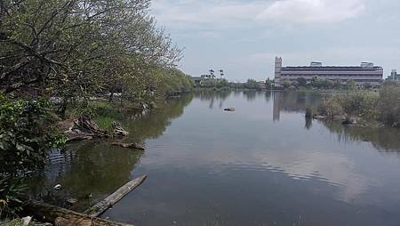 [宜蘭旅遊]百年歷史羅東林業園區，日治時期林業廠區保留至今、