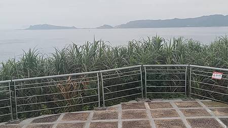 [新北旅遊]金山區獅頭山公園擁有園區貫穿步道，石窟、野柳岬公