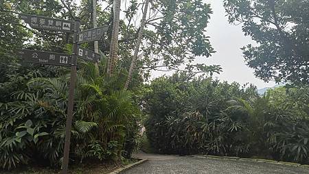 [新北旅遊]金山區獅頭山公園擁有園區貫穿步道，石窟、野柳岬公