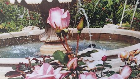 [桃園旅遊]桃園市第一座觀光工廠雅聞魅力博覽館,楊梅區行旅一