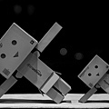 the-danbo-brothers-practicing-yoga-in-a-beam-of-silvery-moonlight-1280x800-wide-wallpapers.net.jpg