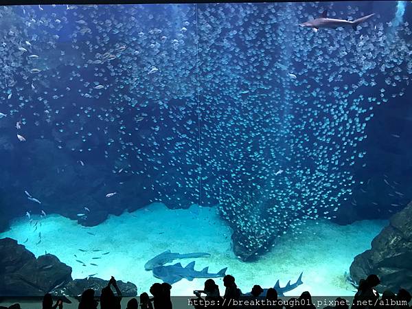 心得 桃園青埔xpark Mo Ptt 鄉公所