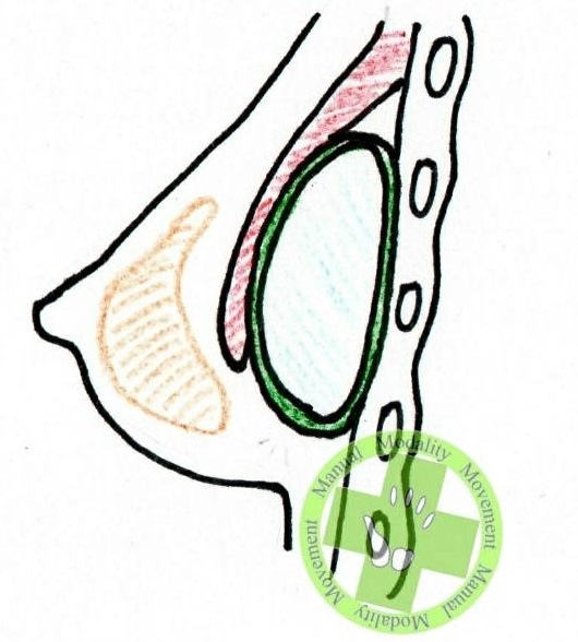 正常夾饃長出來3.jpg 正常夾饃長出來3.jpg