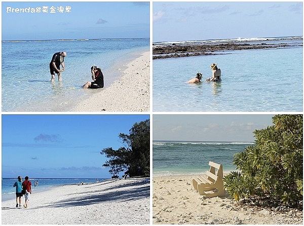 Lady Elliot Island