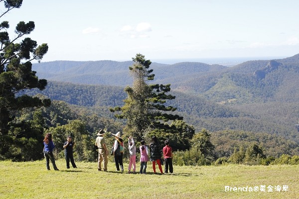 Mystery Mountain, Gold Coast