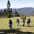 Mystery Mountain, Gold Coast