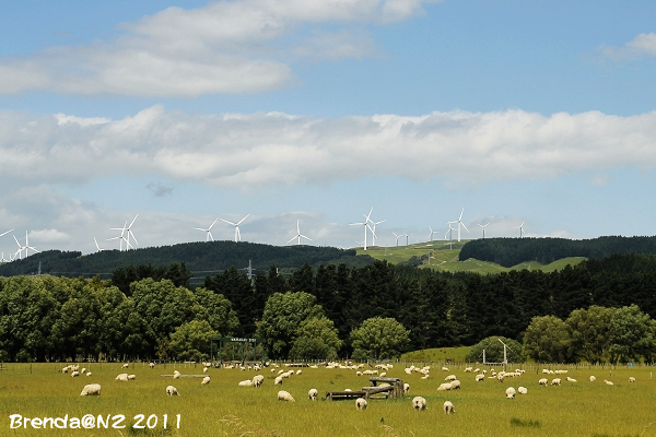 Tararua Wind Farm