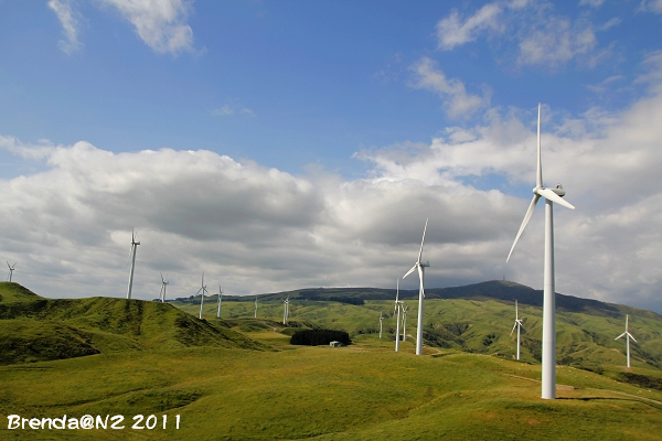 Tararua Wind Farm