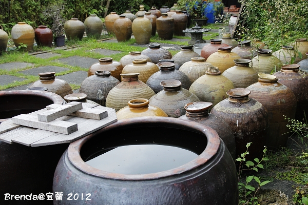 _MG_3242 _MG_3242