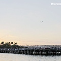  Sydney Harbour