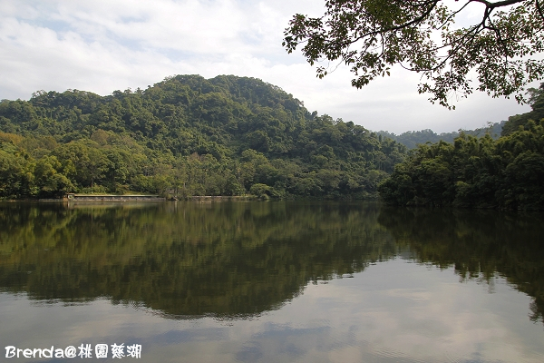 _MG_4902 _MG_4902