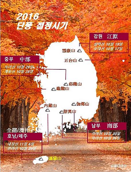 16090802_Fotor.jpg 16090802_Fotor.jpg