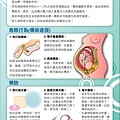 風城之愛-認識淋病-2.jpg