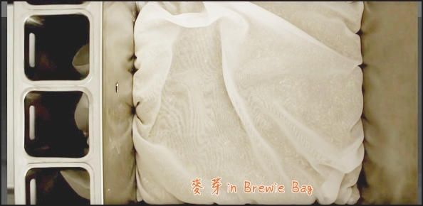 Brewie BIAB.JPG Brewie BIAB.JPG