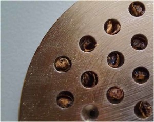 CrystalMalt.jpg CrystalMalt.jpg