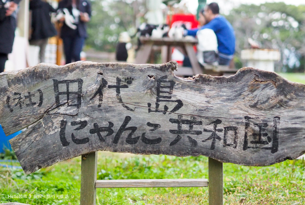 田代島貓咪共和國.jpg 田代島貓咪共和國.jpg