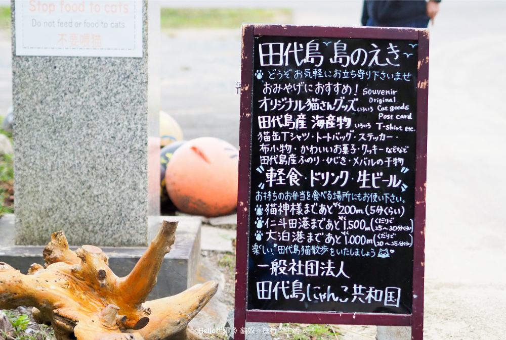 田代島貓咪共和國2.jpg 田代島貓咪共和國2.jpg