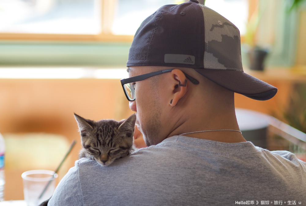 田代島黑貓堂背影抱貓.jpg 田代島黑貓堂背影抱貓.jpg