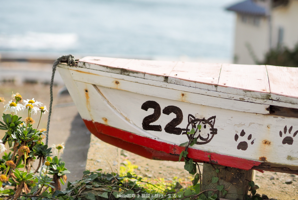 田代島黑貓堂貓船.jpg 田代島黑貓堂貓船.jpg