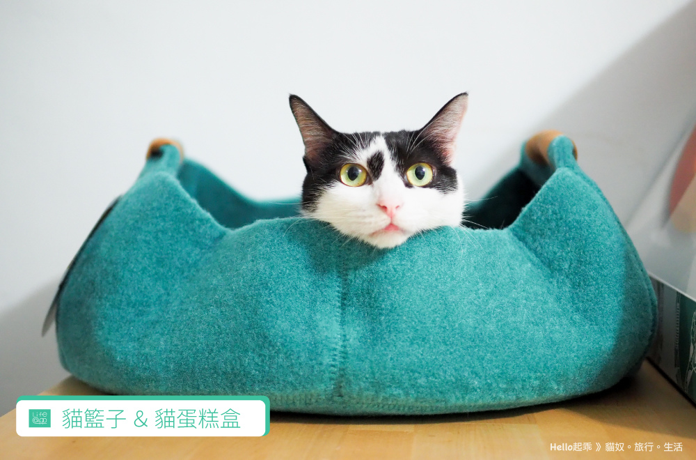 貓籃子首圖.jpg 貓籃子首圖.jpg
