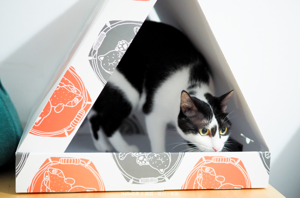 貓籃子包裝帳篷.jpg 貓籃子包裝帳篷.jpg